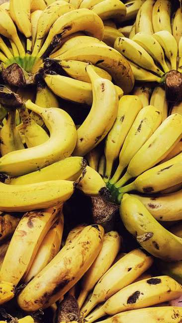 Hortifruti